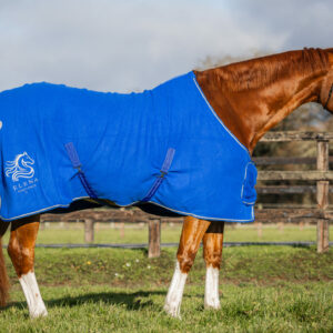 Couverture polaire Ornament