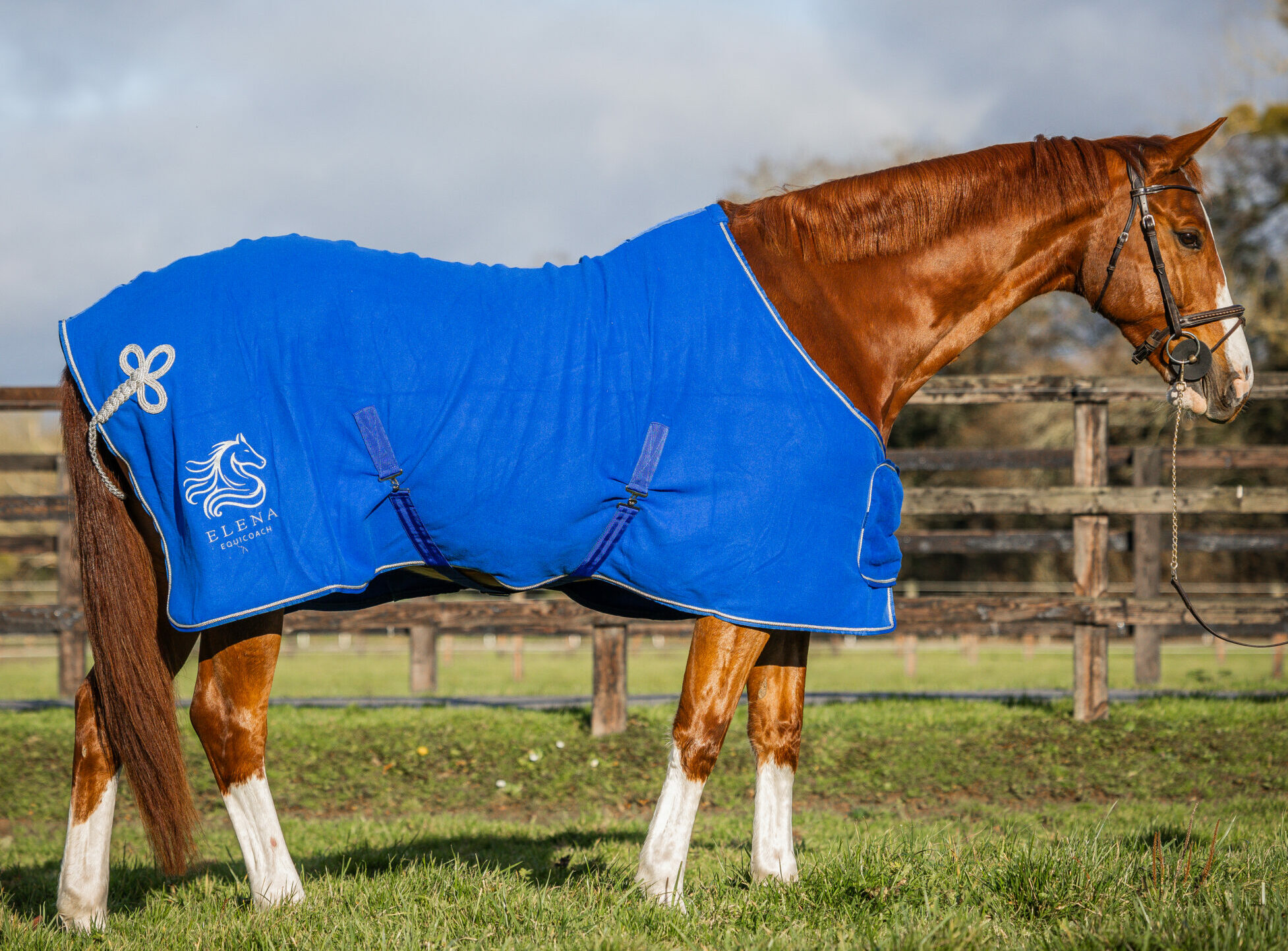 Couverture polaire Ornament